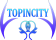 TOPINCITY